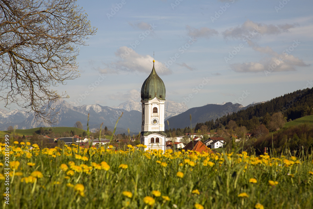 Nesselwang - Frühling - Ortsansicht - Blumen - Löwenzahn - Kirche
