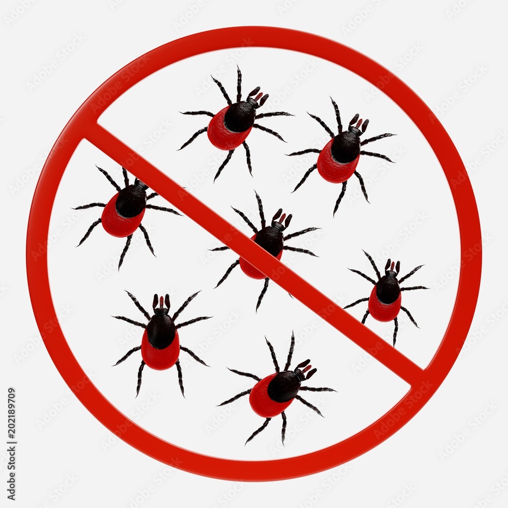Fototapeta premium 3D Render of Prohibition Sign with Tick