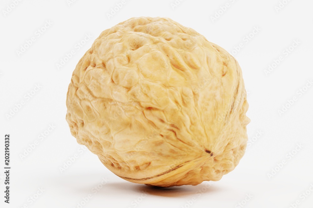 Realistic 3D Render of Walnut Realistic 3D Render of Walnut