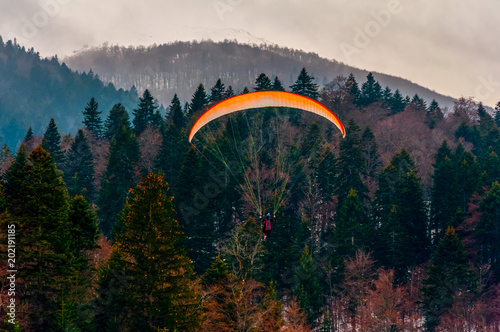 Parachute above the trees