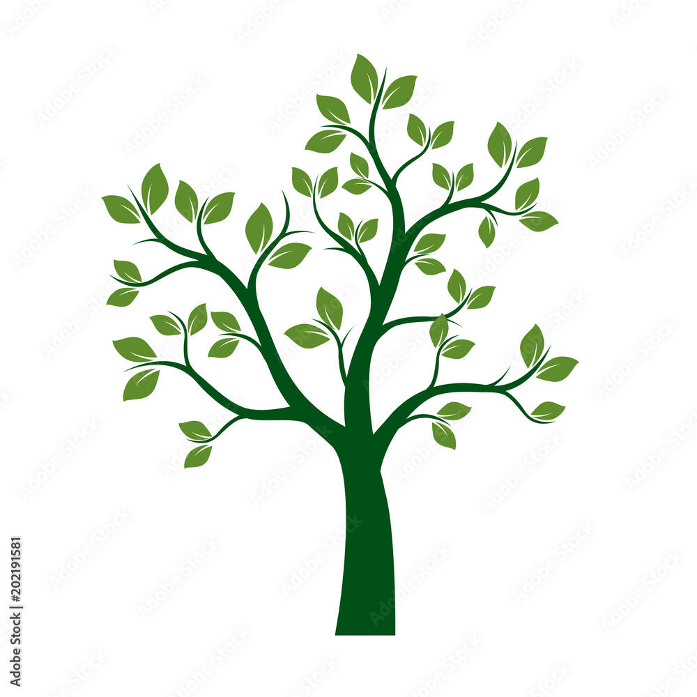 Green Spring Tree. Vector Illustration. Green Spring Tree. Vector Illustration.