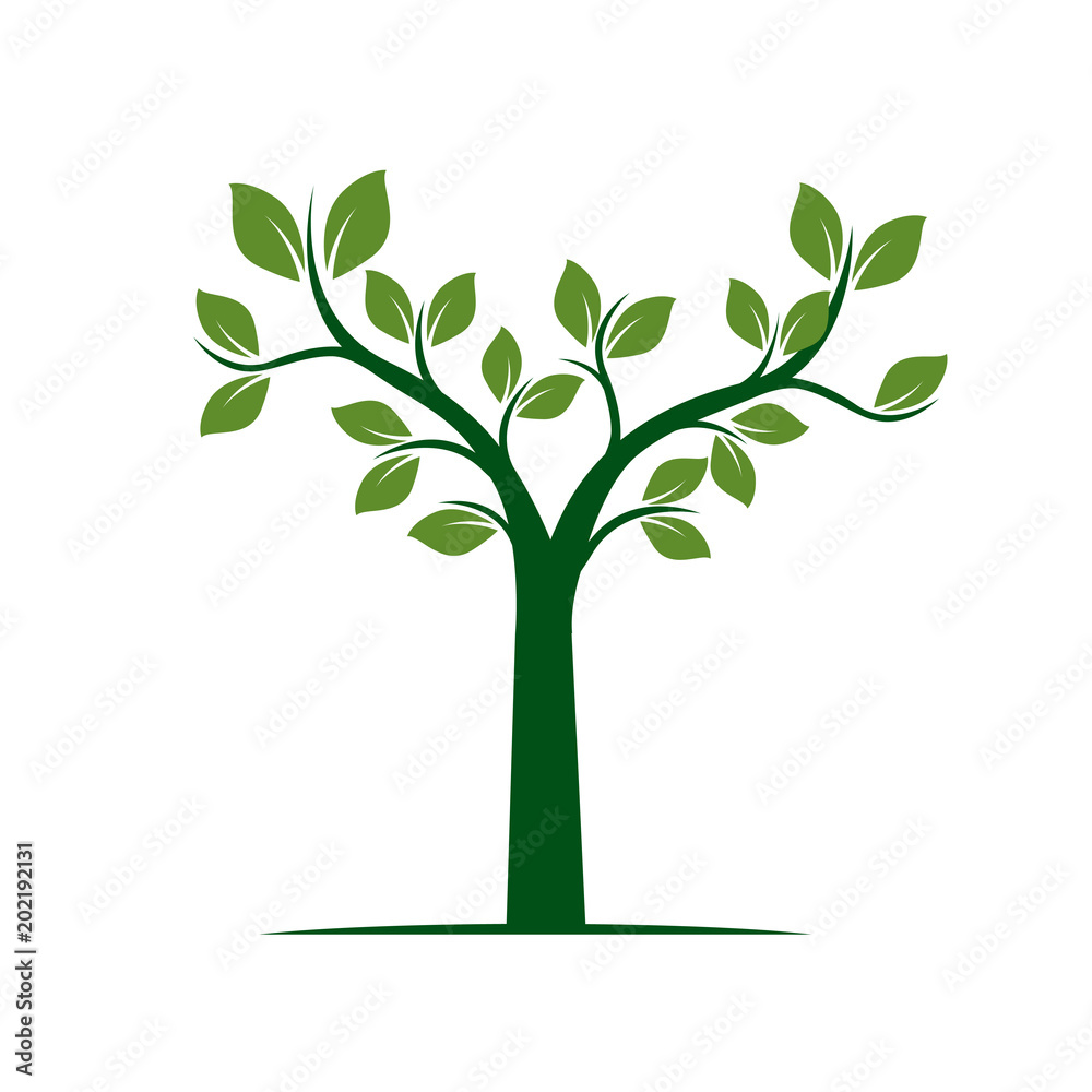 Obraz premium Green Spring Tree. Vector Illustration.