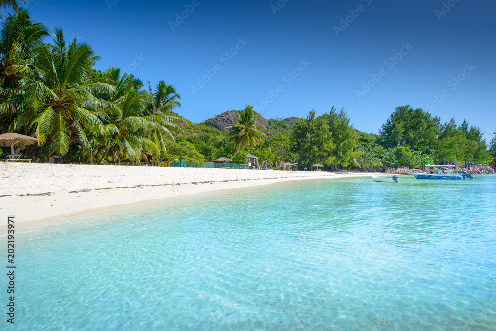 Tropical beach with amazing white sand