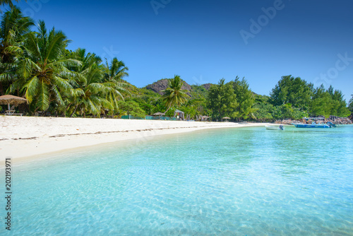 Tropical beach with amazing white sand