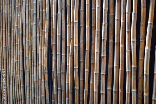 Bamboo fence or wall background