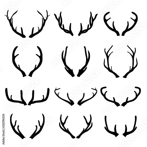 Print op canvas Vector deer antlers on white background