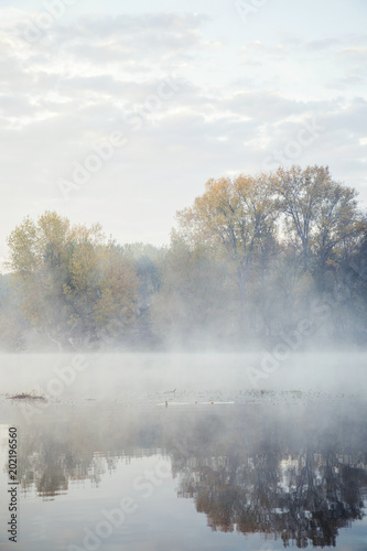 Brume du matin sur les bords de Loire