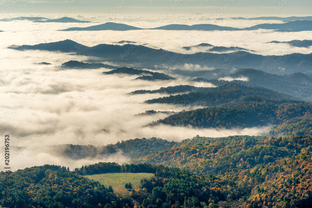 Autumn fog at Grayson Highlands State Park, Virginia