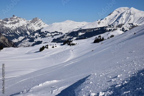 Monts enneigés dans l'Oberland bernois en Suisse