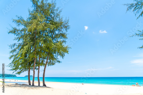 Beautiful tropical beach and sea with coconut palm tree in paradise island © topntp