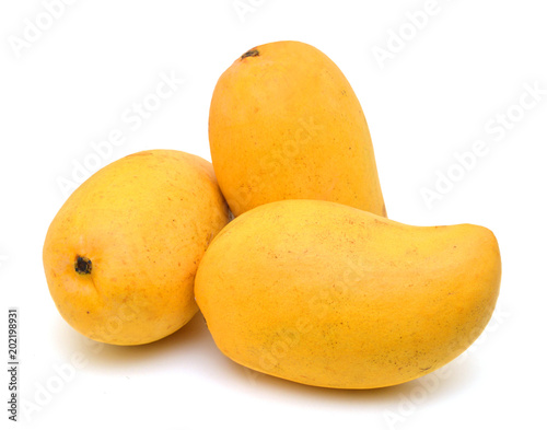 Obraz na płótnie Yellow mango isolated on a white background