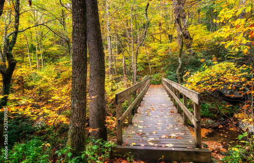 Autumn hike on the Tanawha Trail off the Blue Ridge Parkway photo