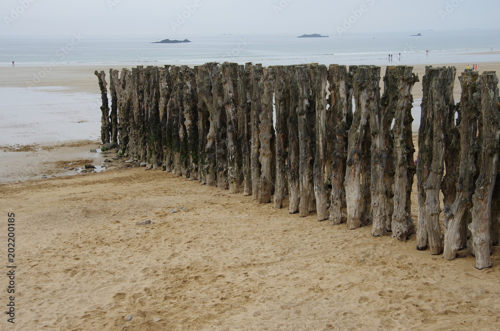 troncs plage de Saint-Malo