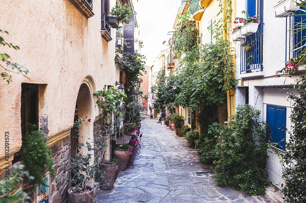 Fototapeta premium Ruelle pavée fleurie