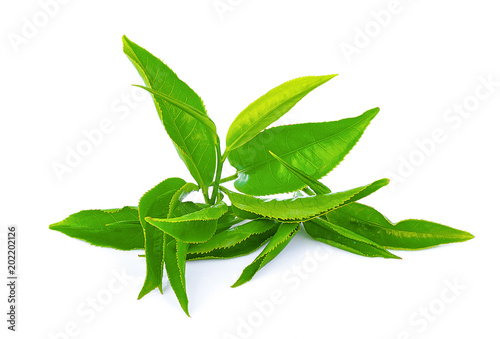 green tea leaf isolated on white background © arunsri