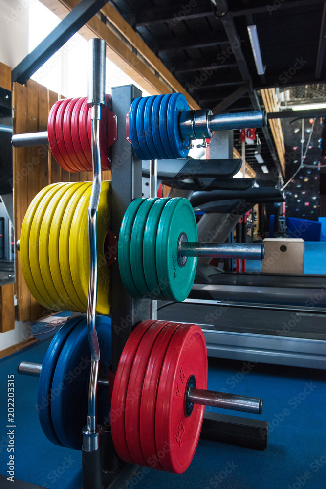 At the fitness modern gym with equipment. Disc weights on the foreground At the fitness modern gym with equipment. Disc weights on the foreground