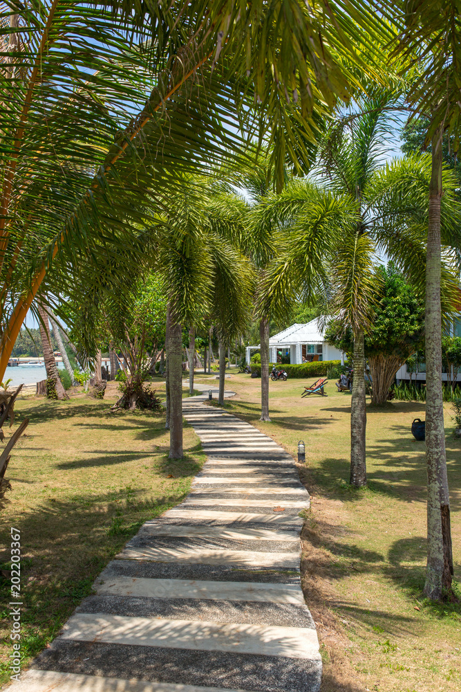 Beautiful walkway under the Palm trees in tropical resort on Koh Kood island, Thailand