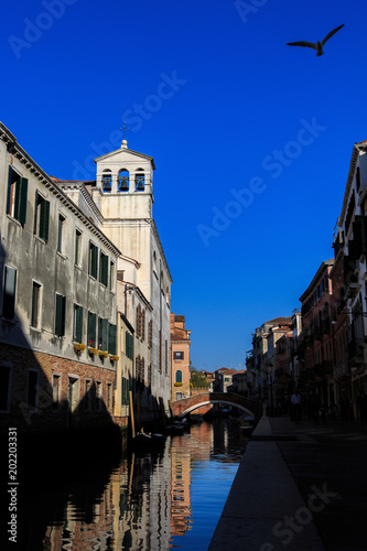 A canal view vith a flying bird in Venice Italy