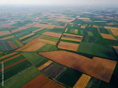 Bird's eyes aerial view photo from flying drone of fields before harvest at summer in the countryside. photo