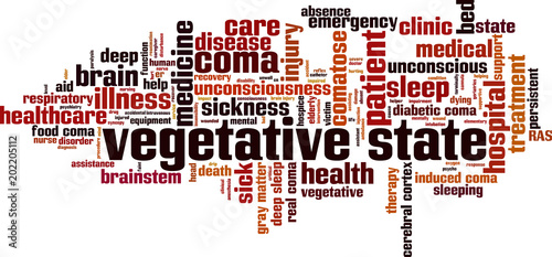 Vegetative state word cloud