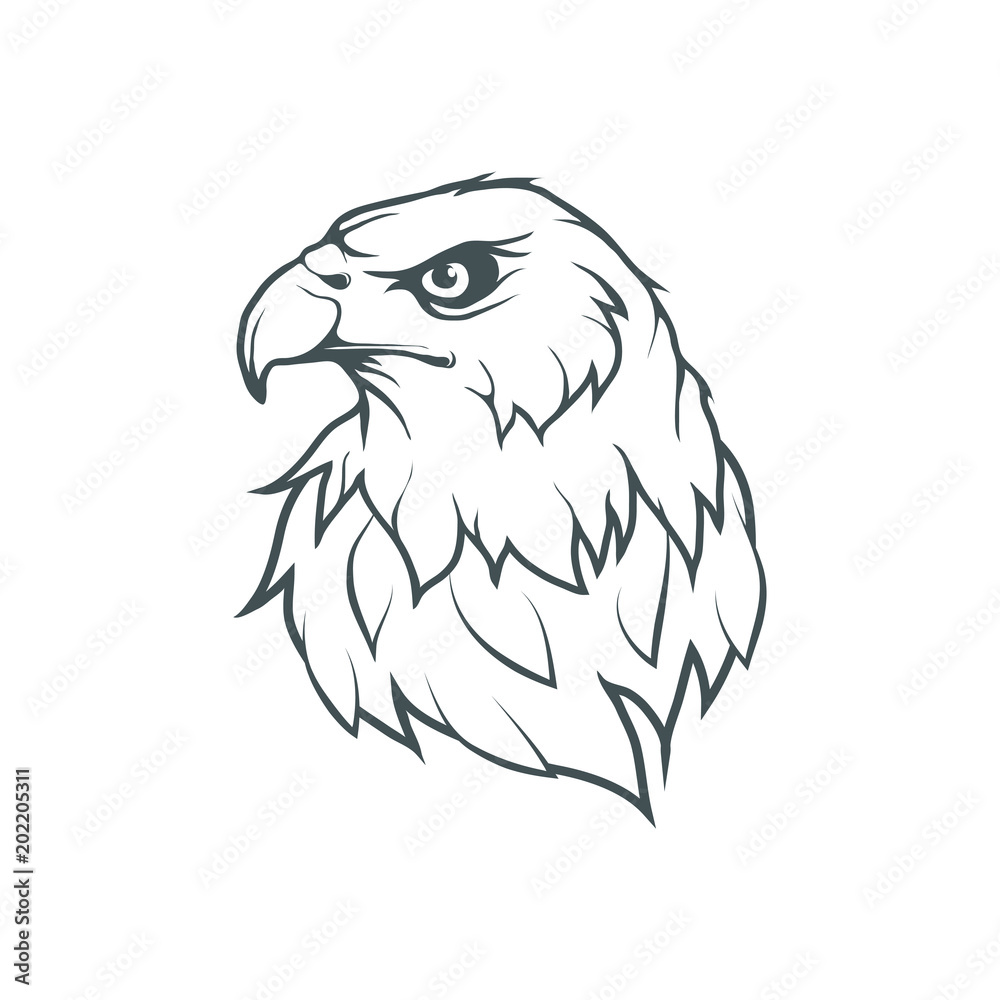 Bald eagle logo. Wild birds drawing. Head of an eagle. Vector graphics to design.