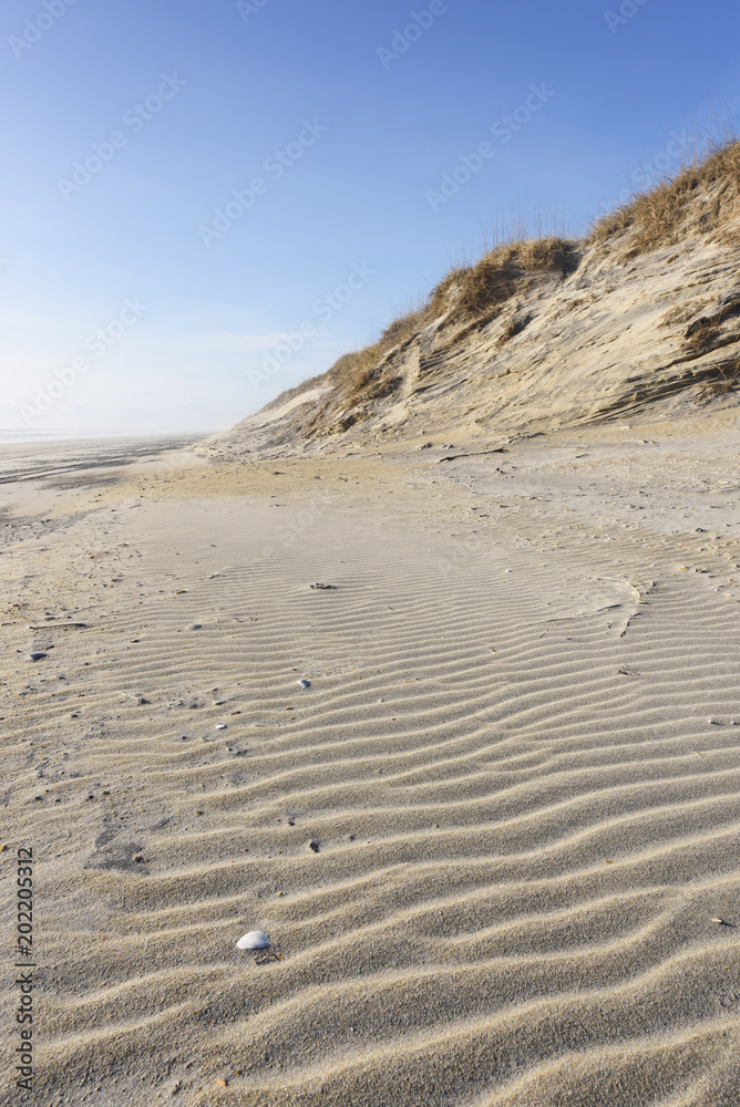 Rippled Sand and Dunes Rippled Sand and Dunes