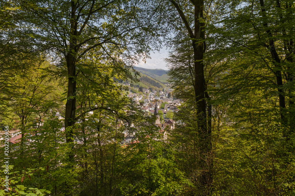 Obraz premium Plettenberg im Frühling