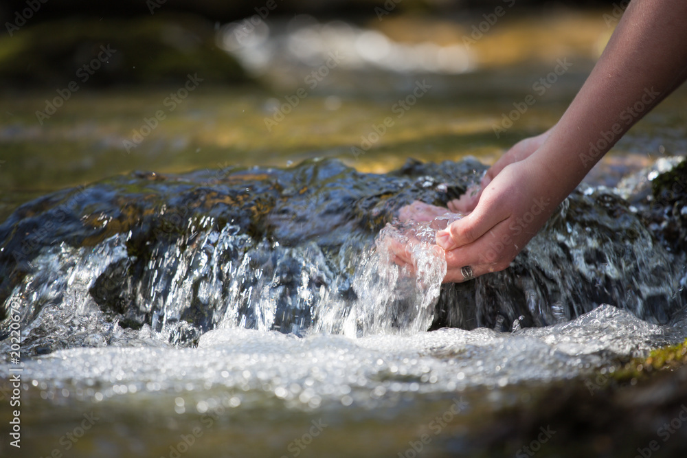 The forest brook, the girl washed her hands in clean water and enjoys her freshness, the natural benefits of drinking water in the world, the Bosnian tributaries. The forest brook, the girl washed her hands in clean water and enjoys her freshness, the natural benefits of drinking water in the world, the Bosnian tributaries.