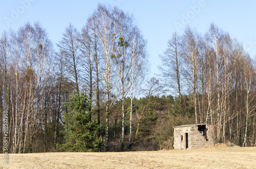 Fototapeta Naklejka Na Ścianę i Meble -  View on forest and destroyed small house.