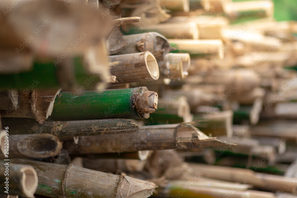 bamboo cylinder or bamboo cup using for juice ,herbal drink. Natural product from Bamboo. bamboo cylinder or bamboo cup using for juice ,herbal drink. Natural product from Bamboo.