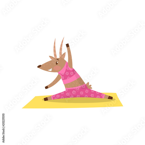 Cute antelope warming-up and stretching before training. Funny humanized animal in pink sportswear. Flat vector design