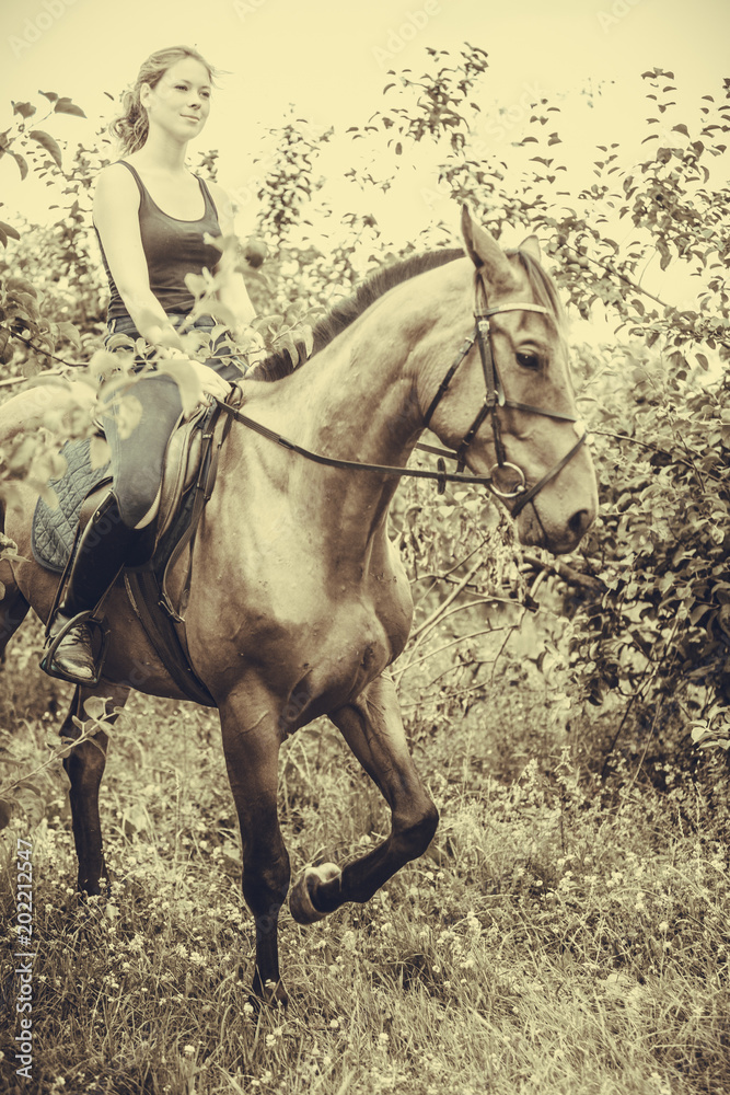 Fototapeta premium Young woman sitting on a horse