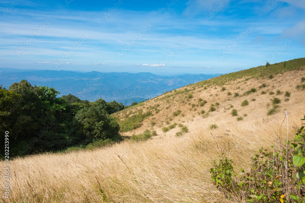 Fototapeta premium Kew Mae Pan Nature trek on Doi Inthanon National Park ,Chiang Mai,Thailand