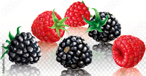 Blackberries and Raspberries on a white