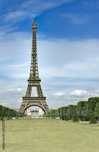 Eiffel Tower from Champ de Mars  Paris  France. Beautiful Romantic background  no people  vertical