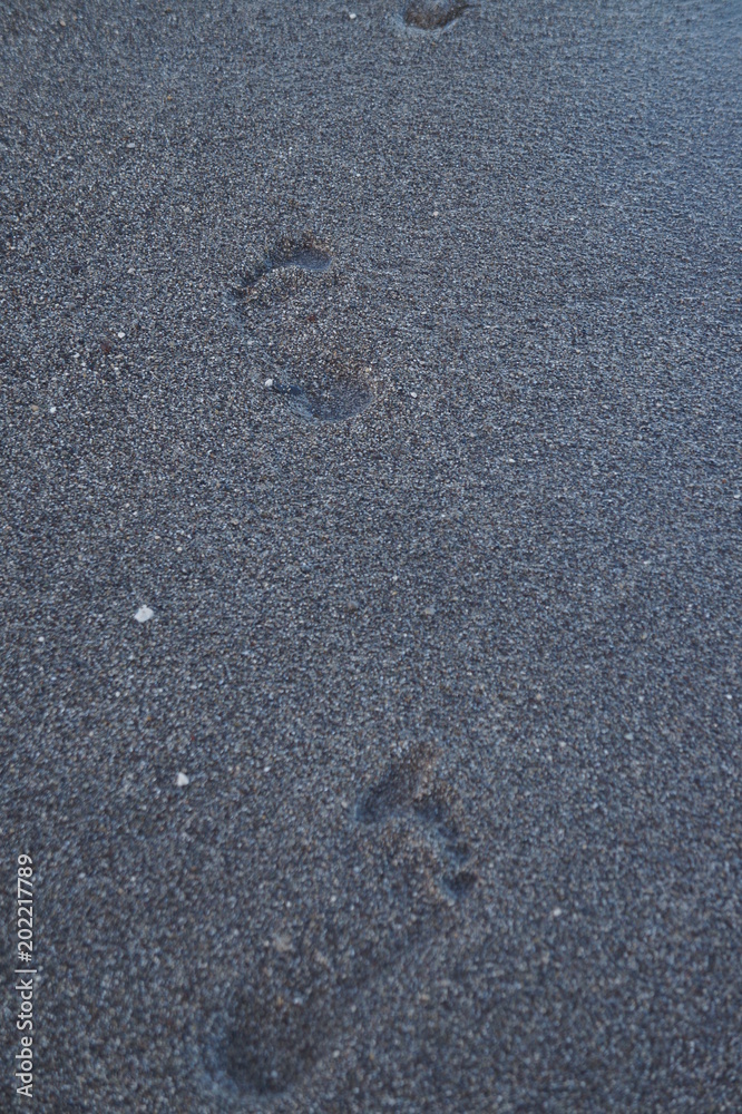 traces from barefoot a leg on sand traces from barefoot a leg on sand