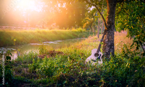 The guitar is placed under the tree at sunset