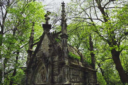 Obraz na plátně Ancient crypt in the Gothic style