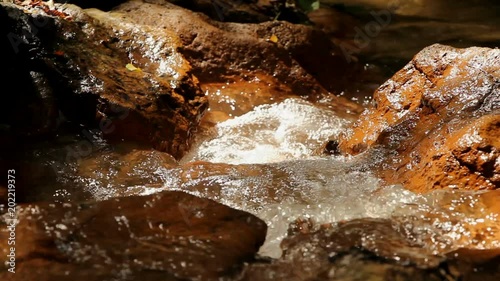creek in the 