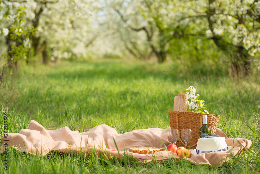 Fototapeta premium Plaid, wine, goblets and a pie with a basket, under a warm sun, in blossoming spring gardens. The concept of a picnic, summer and rest