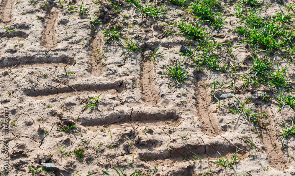 Fototapeta premium detail view of tracks of tractor tires on a field