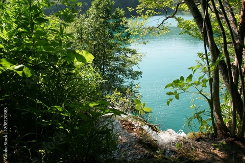 Stream in the forest running to the blue lake in the sunny day