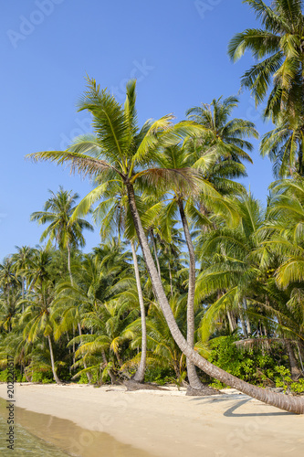 Beautiful beach and tropical sea water