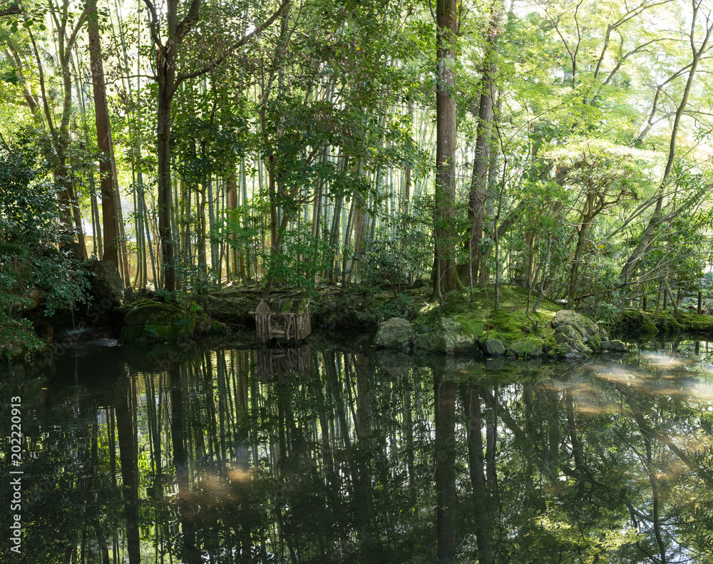 Japanese oriental green garden view and pond with mist, panorama Japanese oriental green garden view and pond with mist, panorama