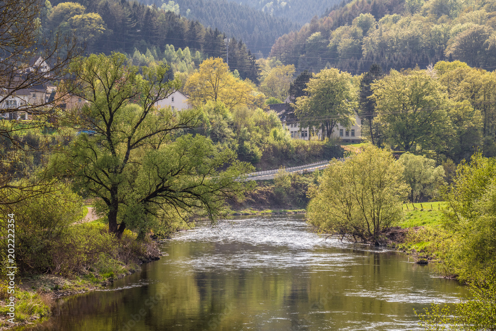 Fototapeta premium An der Lenne in Plettenberg
