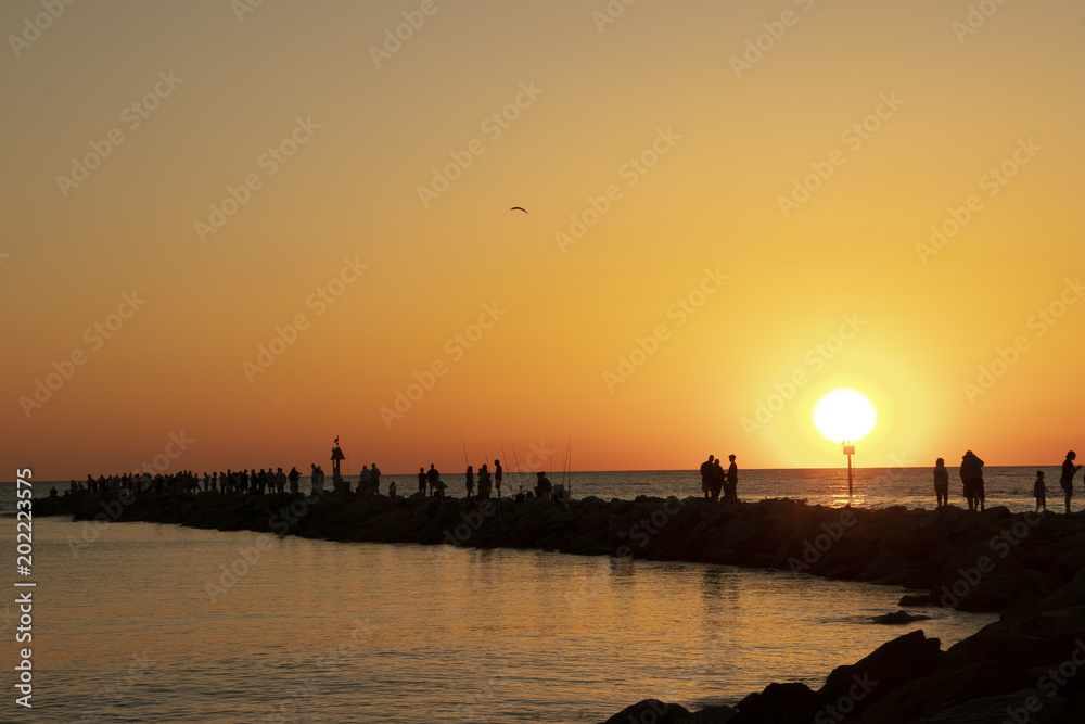 Obraz premium florida sunset