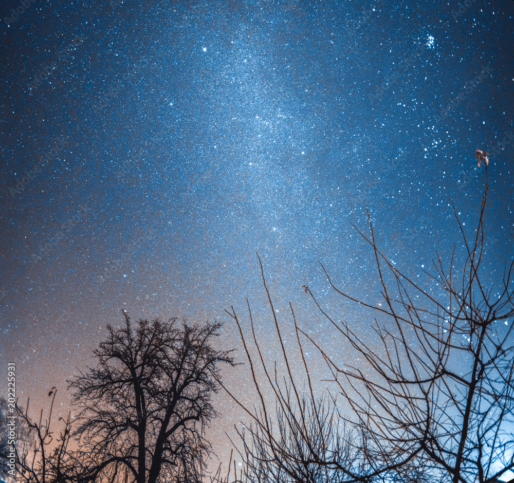 Night starry winter sky over the village. Astro landscape Night starry winter sky over the village. Astro landscape