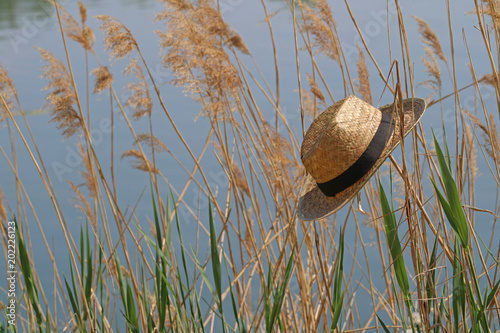 Straw hat in the reeds at the lake photo