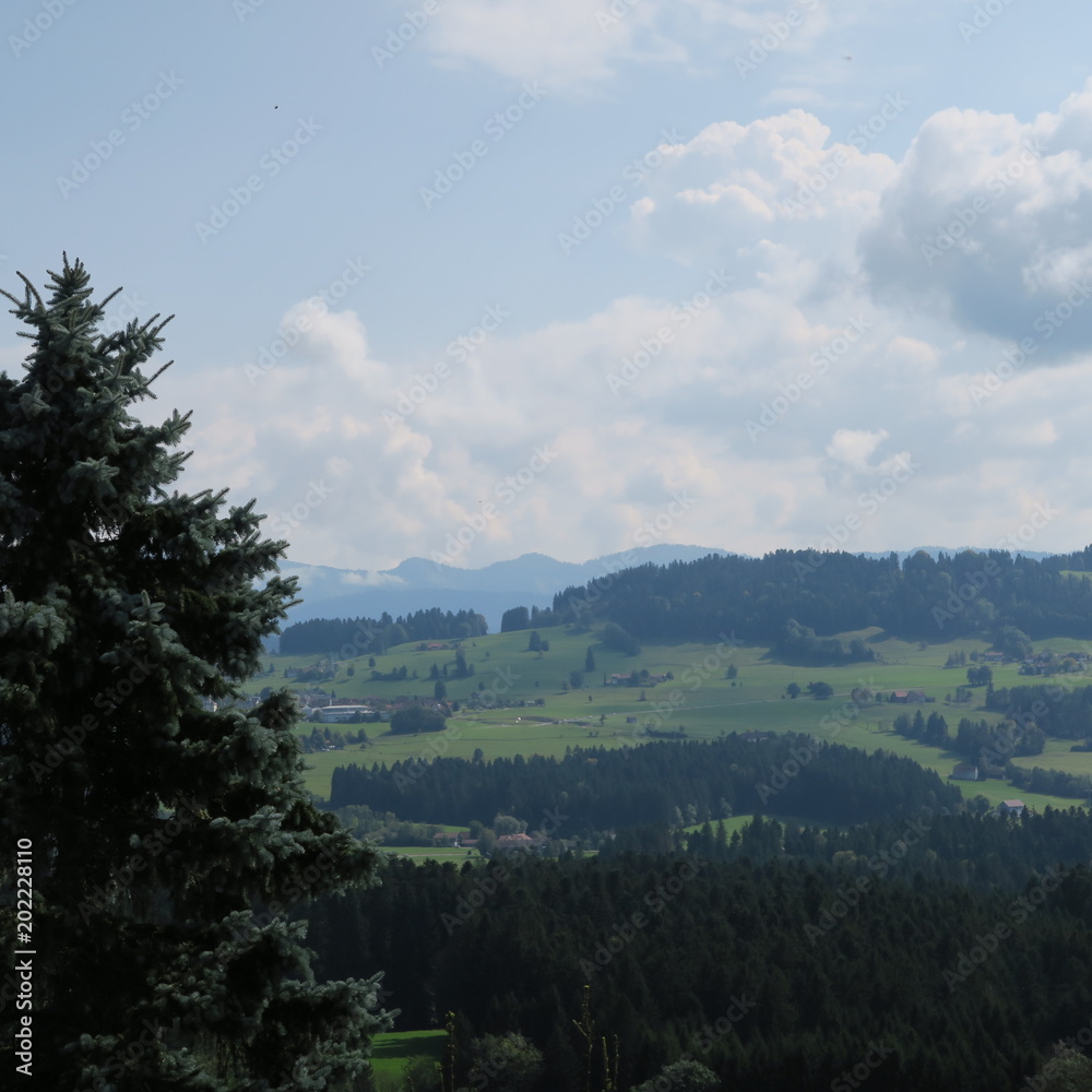 typical landscape in germany, in the allgäu, near bodensee mountains, nature, small houses