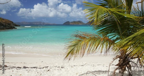 slow motion video of palm tree on perfect beach, Jumbie bay, St John, virgin islands photo
